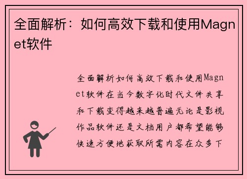 全面解析：如何高效下载和使用Magnet软件